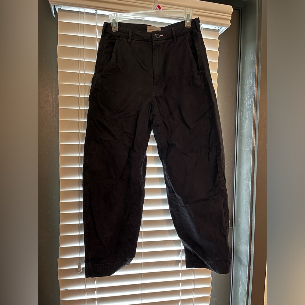 Everlane Barrel Pant